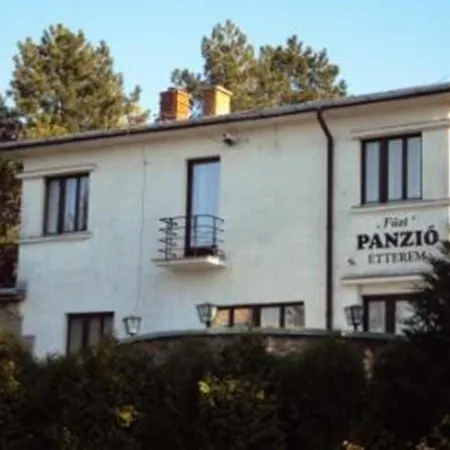 Fuezi Panzio
