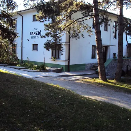 Oda ve Kahvaltı Fuezi Panzio Sopron