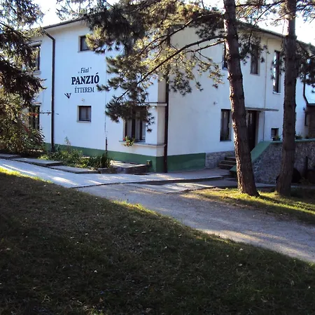 Bed & Breakfast Fuezi Panzio Sopron