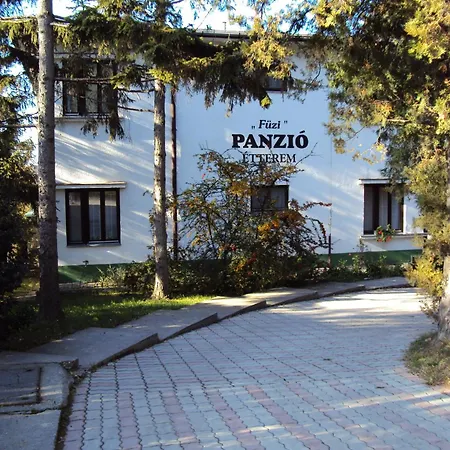 فندق مبيت وإفطار Fuezi Panzio شوبرون