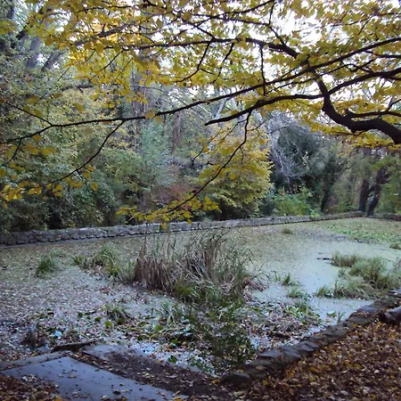 Bed & Breakfast Fuezi Panzio 3*