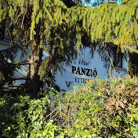 فندق مبيت وإفطار Fuezi Panzio شوبرون