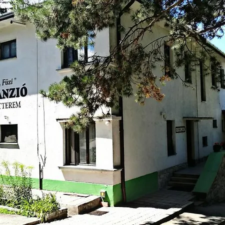 Fuezi Panzio 3* Sopron